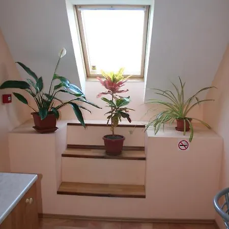 Old Town Hostel 2*